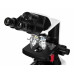 Микроскоп Levenhuk 450B, бинокулярный